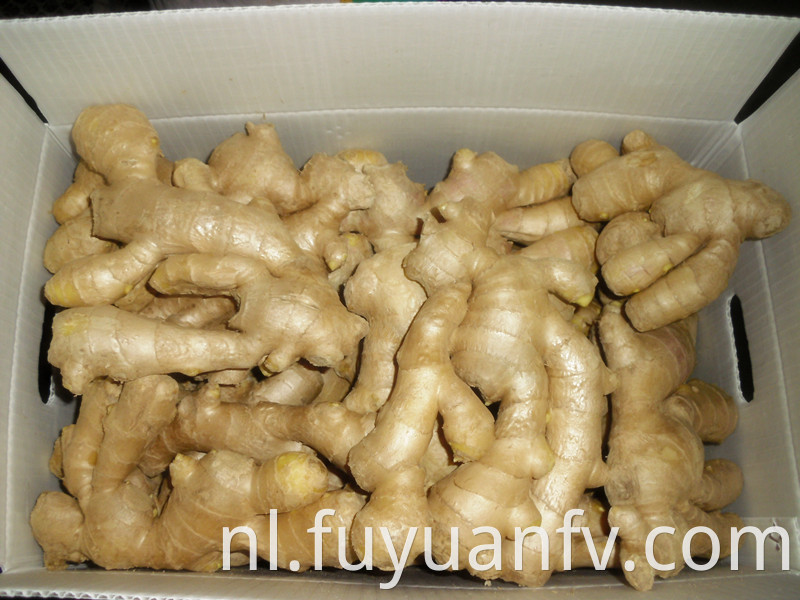 grade A air dried ginger 